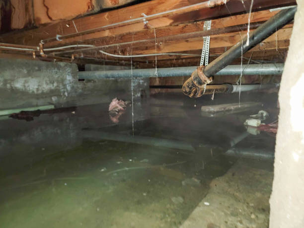 Trusted MD Water damage restoration Experts