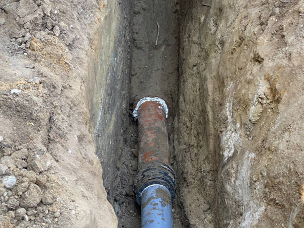 Best Basement water damage restoration  in Beltsville, MD