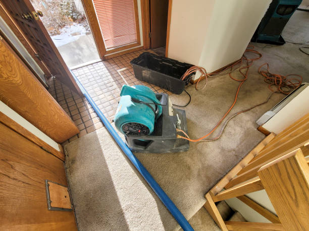 Best Water damage restoration cost  in Beltsville, MD