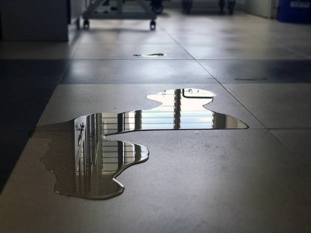 Best Water damage contractors near me  in Beltsville, MD